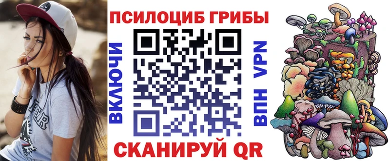 Галлюциногенные грибы Cubensis  закладка  omg зеркало  Белорецк 