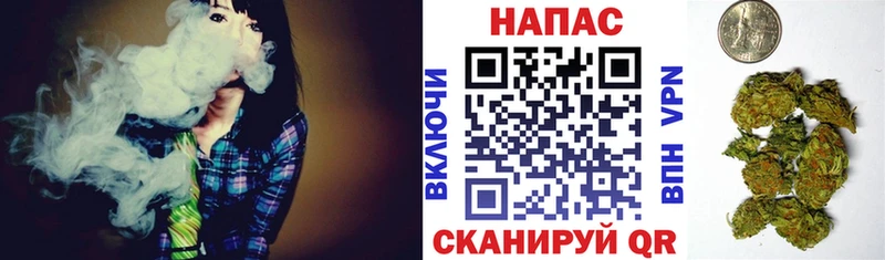 мега ONION как найти наркотики Белорецк Бошки Шишки семена